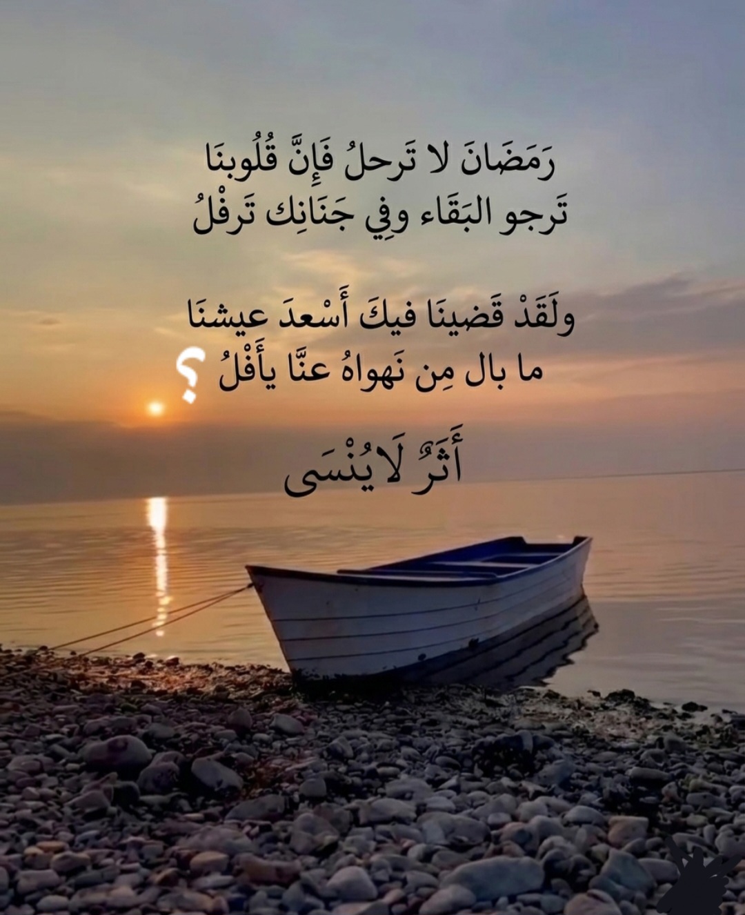 screenshot ٢٠٢٦٠٣٢٠ ٠١٤٣٤٨ gallery