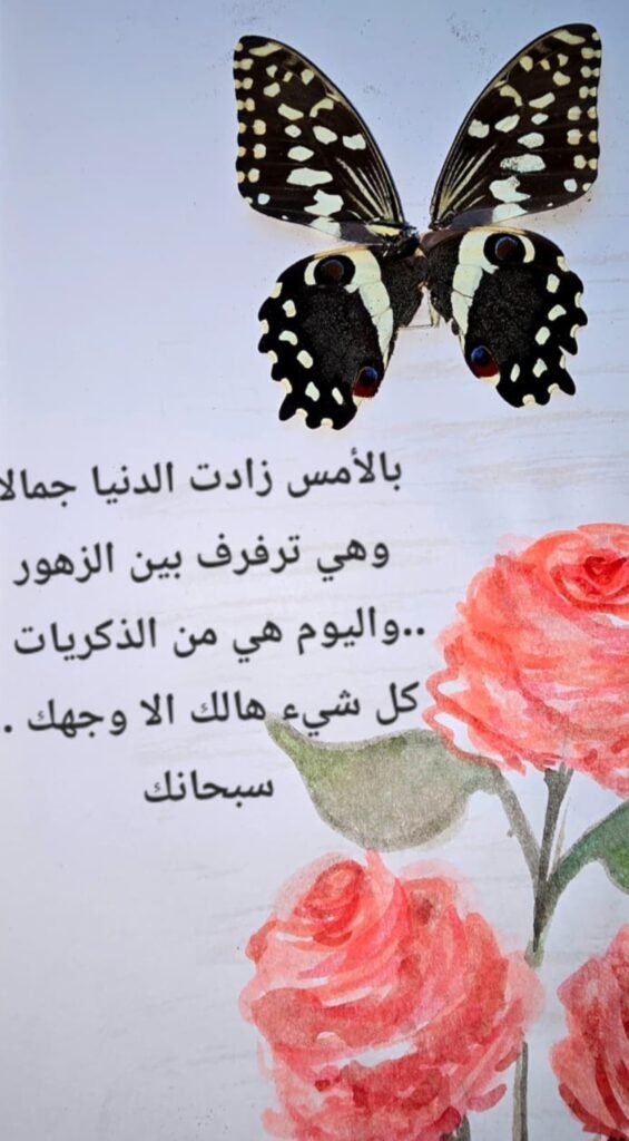 screenshot ٢٠٢٦٠٧٠٦ ١٥٠٨٣٣ whatsapp