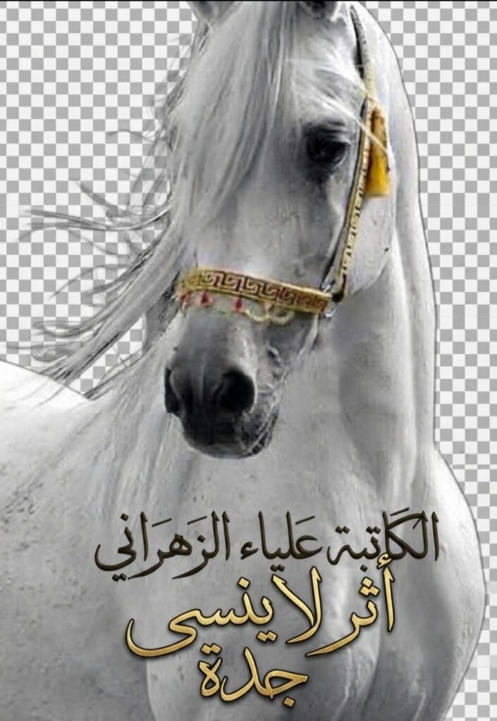 screenshot ٢٠٢٦٠٧١٥ ٠١٠٧٢٨ gallery